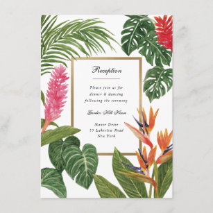 Tropical Dream Enclosure Card
