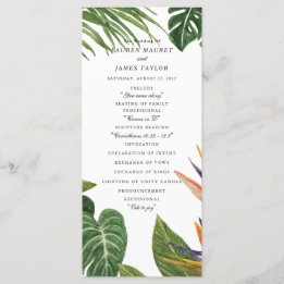 Tropical Dream Program