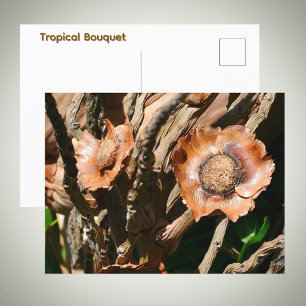 Tropical Dried Coconut Flowers Floral Postcard
