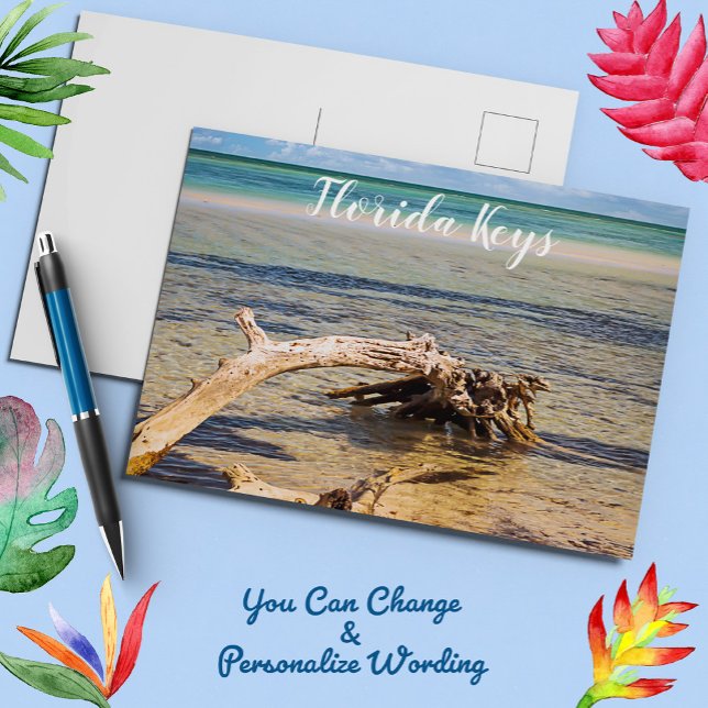 Tropical Driftwood Bahia Honda Beach Photo Postcard (Creator Uploaded)