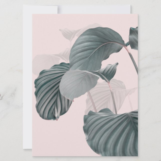 Tropical Elegance in Pastel (Front)