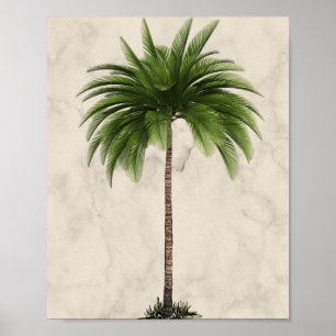 Tropical Elegant Palm Tree Champagne Marble Poster