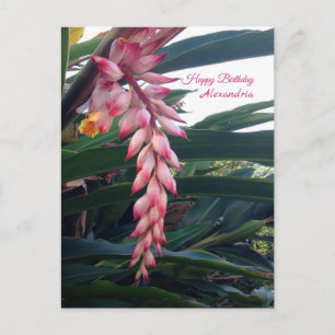Tropical Elegant Pink Flowers Birthday Postcard
