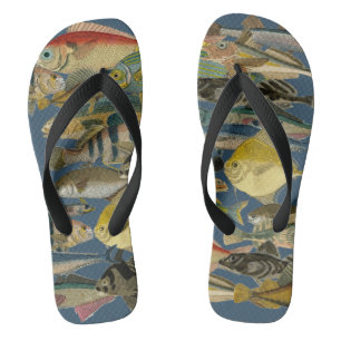 Tropical Exotic Ocean Fish Deep Sea Fish Colourful Thongs