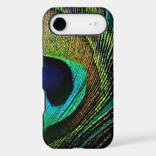 Tropical Exotic Peacock Feather Vibrant Summer