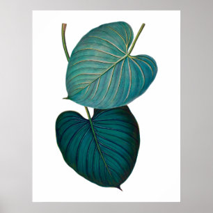 Tropical exotic philodendron leaves poster