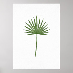 Tropical Fan Palm Leaf Unframed Print Decor