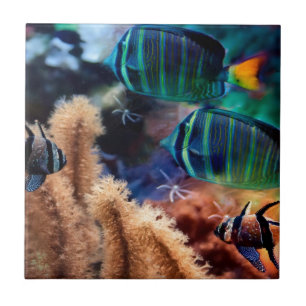 Tropical fish ceramic tile