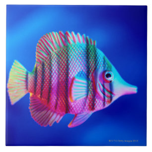 Tropical Fish Ceramic Tile