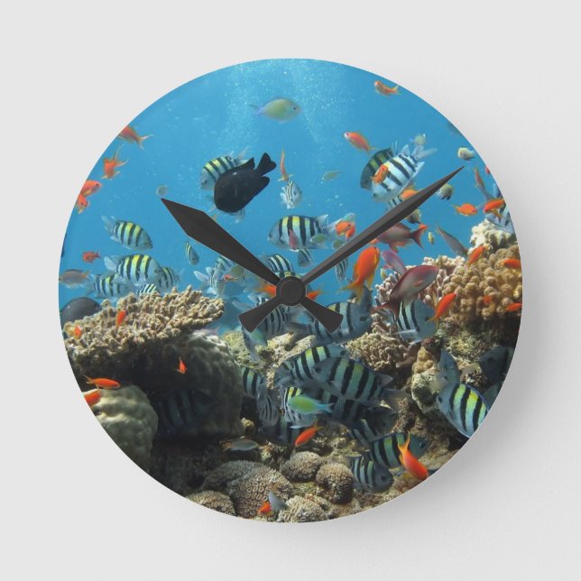 Tropical Fish Chaos Round Clock (Front)
