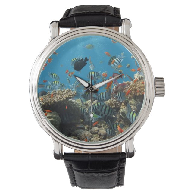 Tropical Fish Chaos Watch (Front)