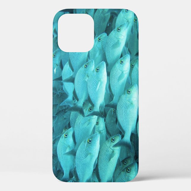 Tropical fish coral reef, marine life. Case-Mate iPhone case (Back)