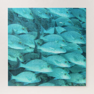 Tropical fish coral reef, marine life. jigsaw puzzle