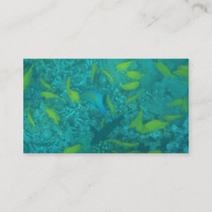 Tropical fish diving scuba instructor custom cards