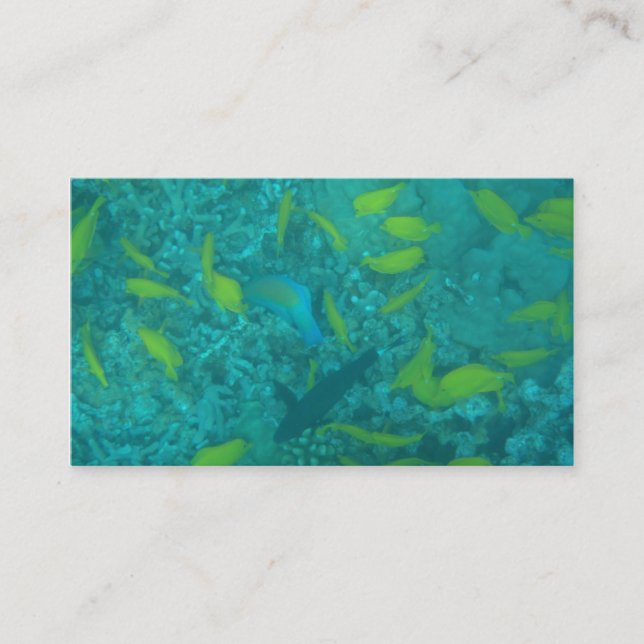 Tropical fish diving scuba instructor custom cards (Front)