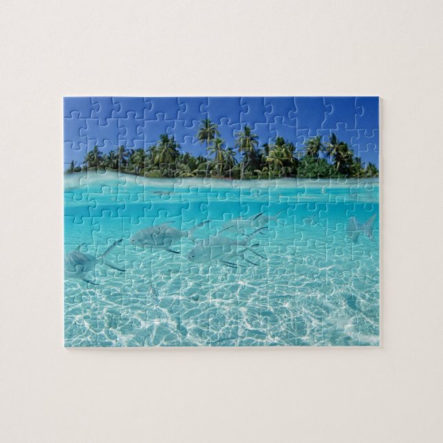Tropical Fish Game Puzzle (Horizontal)