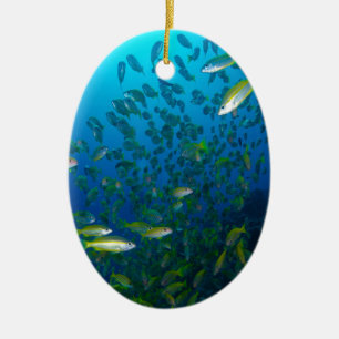 Tropical Fish Great Barrier Reef Coral Sea Ceramic Ornament