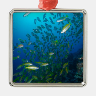 Tropical Fish Great Barrier Reef Coral Sea Metal Ornament