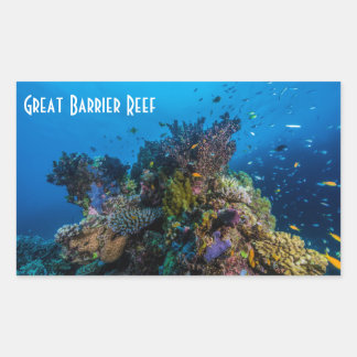 Tropical Fish Great Barrier Reef Coral Sea Rectangular Sticker