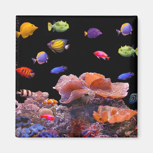 Tropical Fish image for Square-Magnet Magnet (Front)