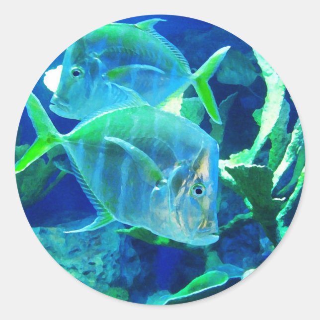 Tropical Fish in Turquoise and Chartreuse Classic Round Sticker (Front)