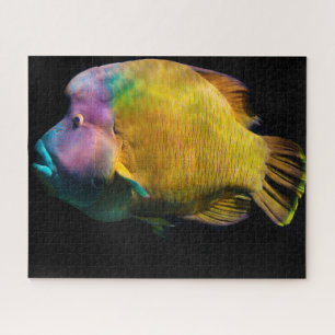 Tropical Fish Jigsaw Puzzle