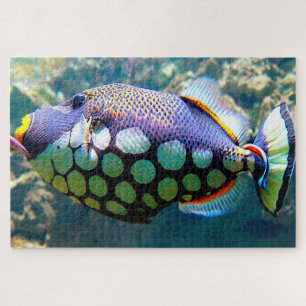 Tropical Fish Jigsaw Puzzle