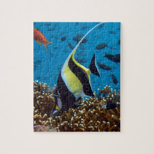 Tropical fish jigsaw puzzle