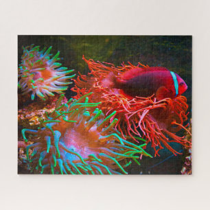 Tropical Fish Jigsaw Puzzle
