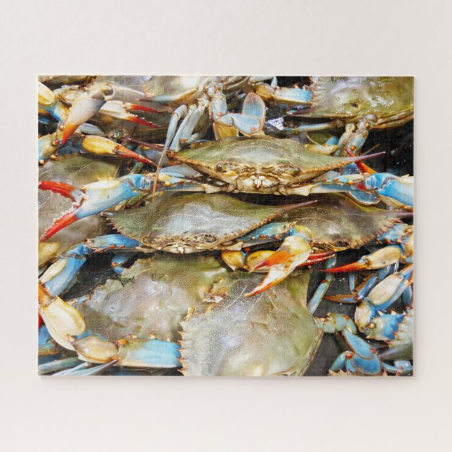 Tropical Fish Jigsaw Puzzle (Horizontal)