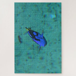Tropical Fish. Jigsaw Puzzle