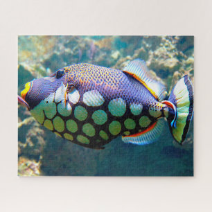 Tropical Fish Jigsaw Puzzle
