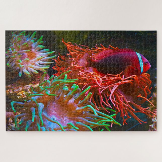 Tropical Fish Jigsaw Puzzle (Horizontal)