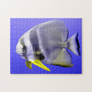 Tropical Fish Jigsaw Puzzle