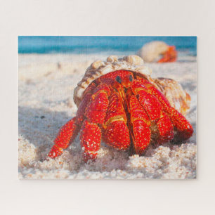 Tropical Fish Jigsaw Puzzle