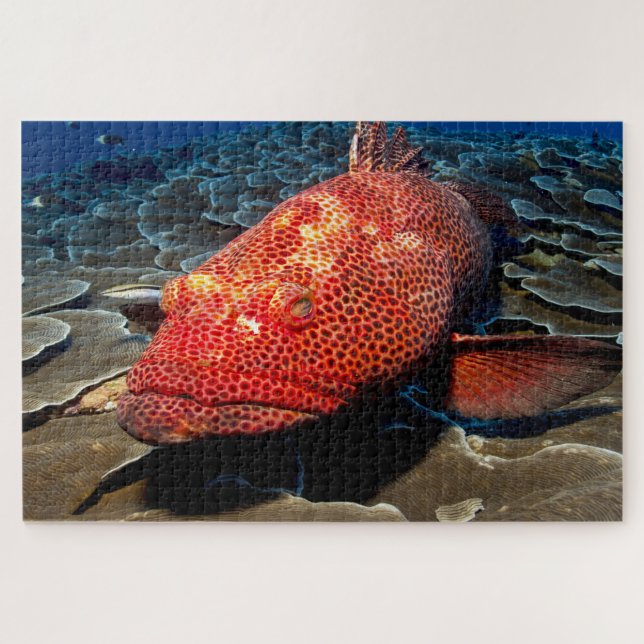 Tropical Fish Jigsaw Puzzle (Horizontal)