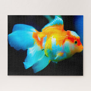 Tropical Fish Jigsaw Puzzle