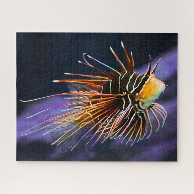 Tropical Fish Jigsaw Puzzle (Horizontal)