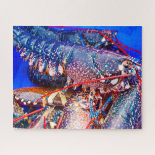 Tropical Fish Jigsaw Puzzle