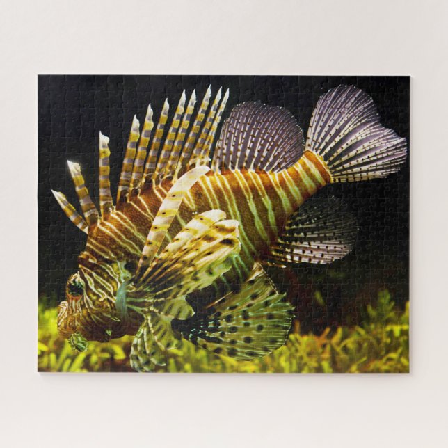 Tropical Fish Jigsaw Puzzle (Horizontal)