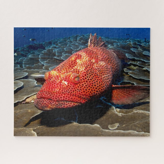 Tropical Fish Jigsaw Puzzle (Horizontal)