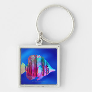 Tropical Fish Key Ring