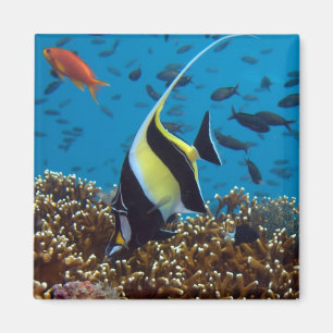 Tropical Fish Magnet