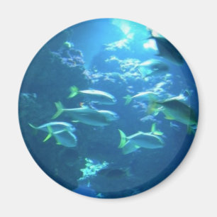 Tropical Fish Magnet