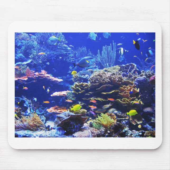 Tropical Fish Mouse Pad (Front)