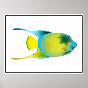 Tropical Fish Poster