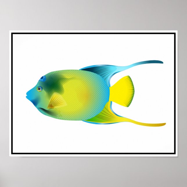 Tropical Fish Poster (Front)