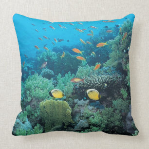 Tropical fish swimming over reef cushion