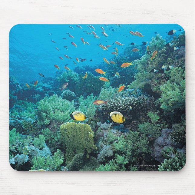 Tropical fish swimming over reef mouse pad (Front)