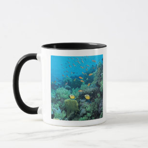 Tropical fish swimming over reef mug
